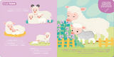Auzou 9791039562959 Livre P'tit touche à tout - Les bébés animaux - Auzou vendu par Veille sur toi