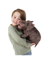 Folkmanis 3165 Marionnette - Hippopotame - Folkmanis vendu par Veille sur toi