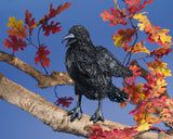 Folkmanis 3209 Marionnette - Corbeau - Folkmanis vendu par Veille sur toi
