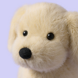 Jellycat MAL3DOG Peluche - Chien Golden - Jellycat vendu par Veille sur toi