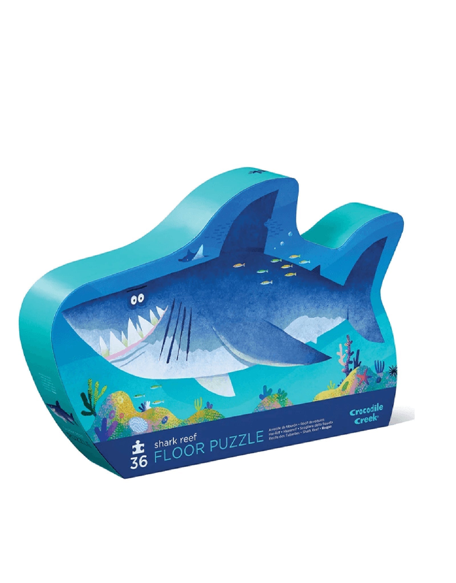 Requins : le casse-tête juridique des arrêtés en matière de baignades ou d'activités  nautiques [mise à jour au 25/9/2023], image size:1600x2048