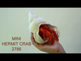 Finger puppet - Hermit Crab
