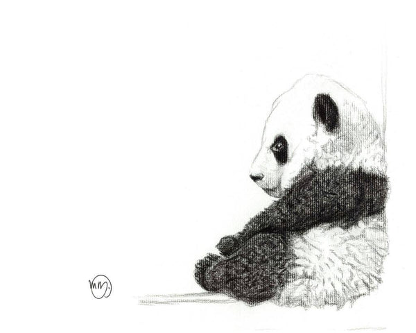 Illustration - Panda marque  Le nid atelier vendu par Veille sur toi