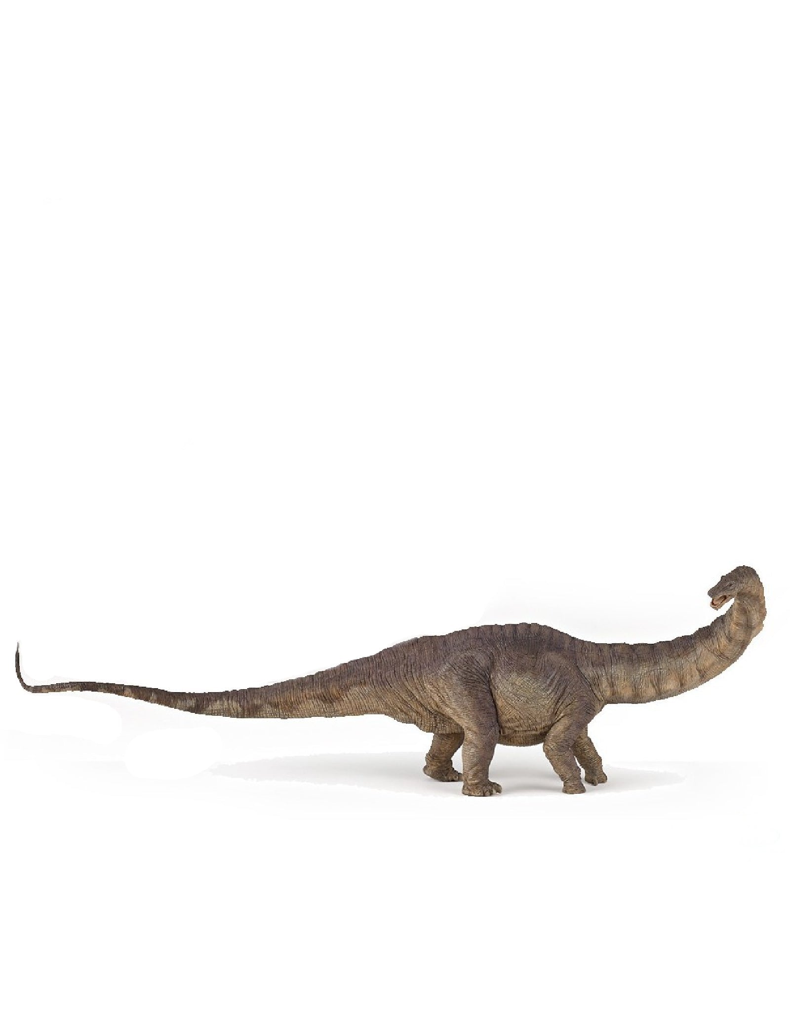 Figurine dinosaure - Apatosaure - Papo – Veille sur toi