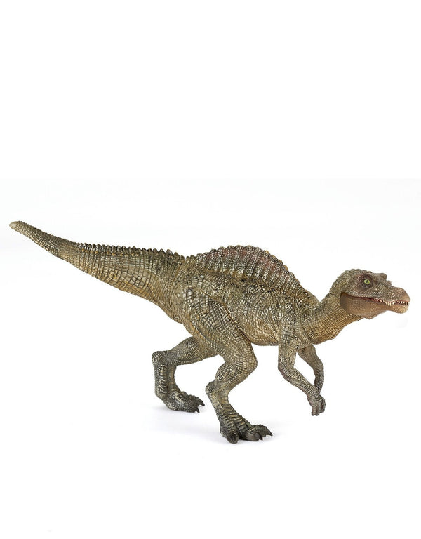 Papo 55065 Figurine dinosaure - Jeune Spinosaure - Papo vendu par Veille sur toi
