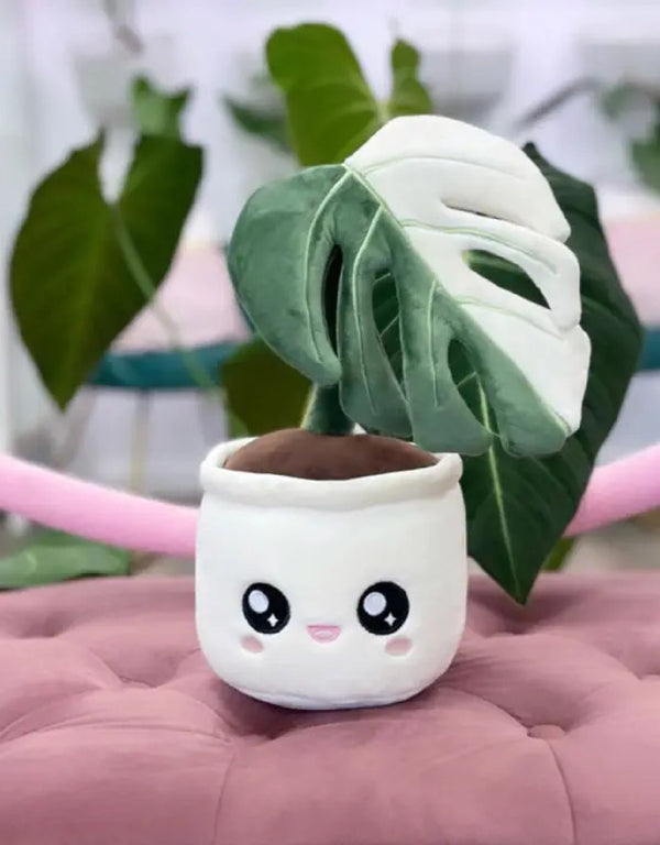 Peluche plante - Monstera Deliciosa Albo Variegata  - Blushiez