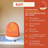 Sun - Réveil - Morphée
