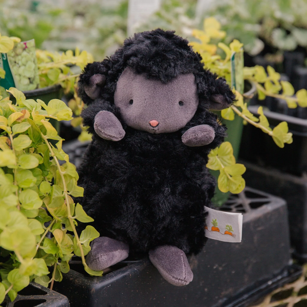 Peluche - Wee Kiddo l'agneau - noir - Bunnies by the bay