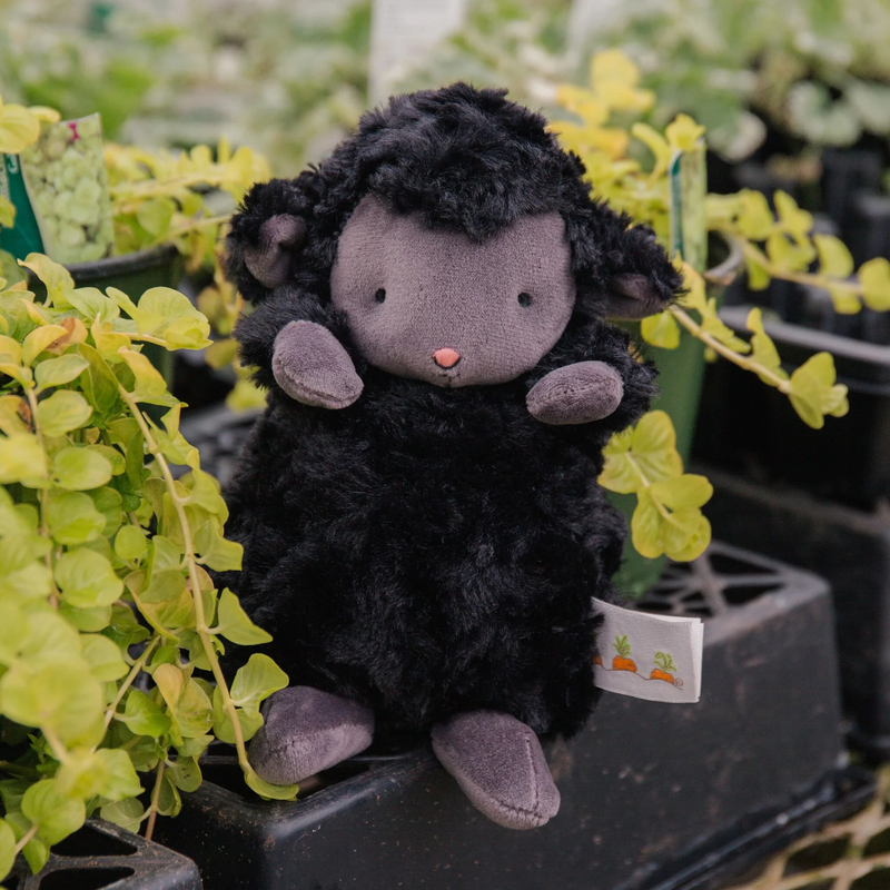 Peluche - Wee Kiddo l'agneau - noir - Bunnies by the bay