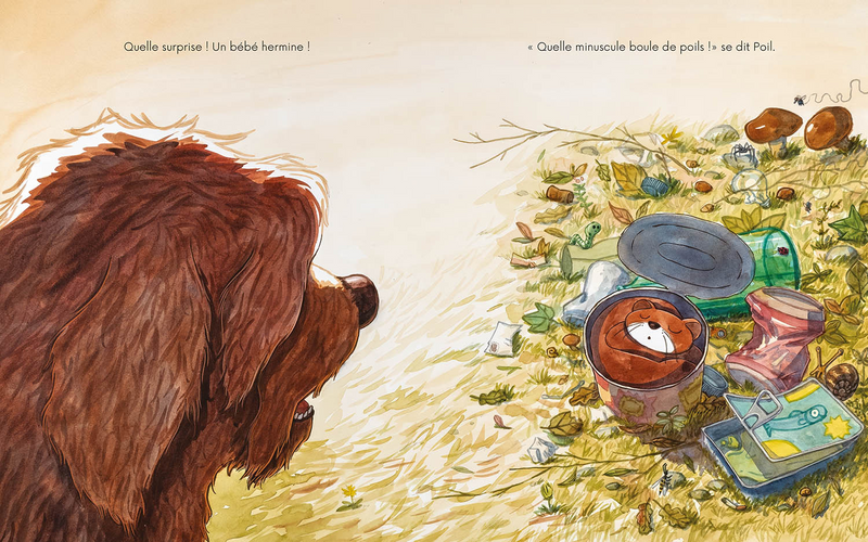 Livre - Poil et plume - Auzou