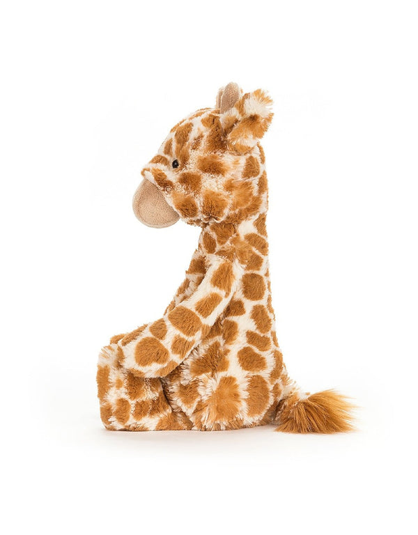 Peluche - Girafe - Bashful -  Petit - Jellycat