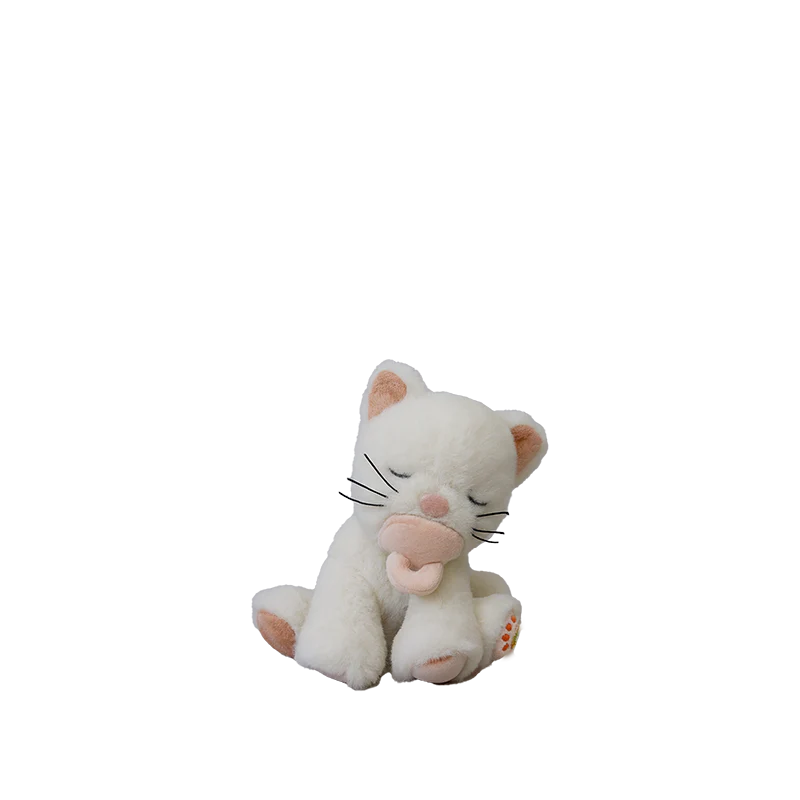 Chat Binky - Kiki - Olli Ella