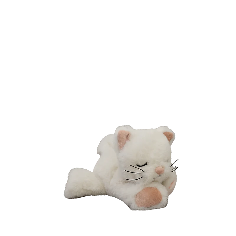 Chat Binky - Kiki - Olli Ella