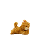 Binky Kitten - Koda - Olli Ella