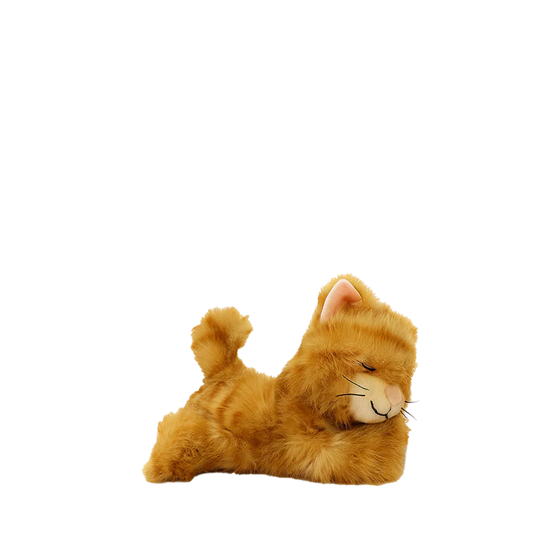 Binky Kitten - Koda - Olli Ella