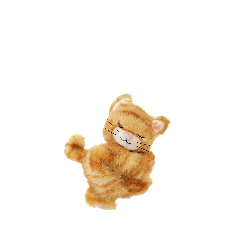 Binky Kitten - Koda - Olli Ella