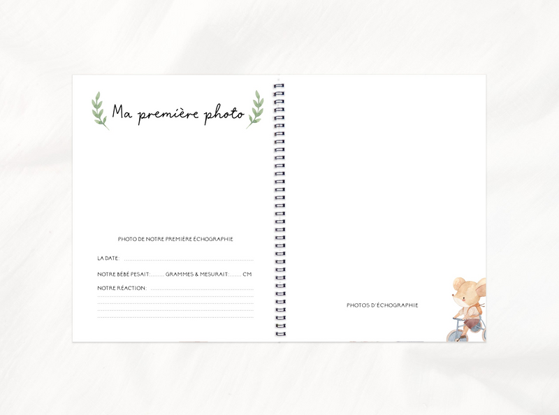 Pregnancy, Baby & Childhood Book - Cute Mice - Rainbows & Lollipops