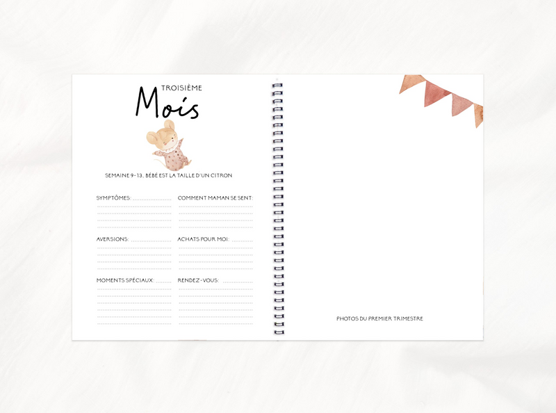 Pregnancy, Baby & Childhood Book - Cute Mice - Rainbows & Lollipops