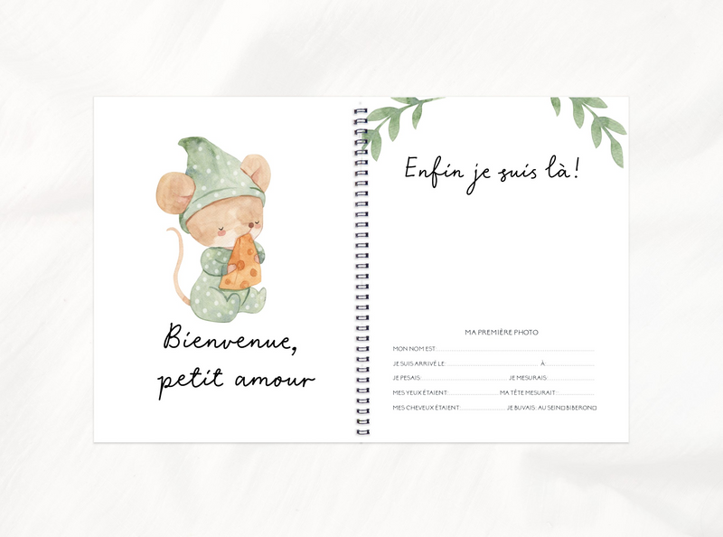 Pregnancy, Baby & Childhood Book - Cute Mice - Rainbows & Lollipops