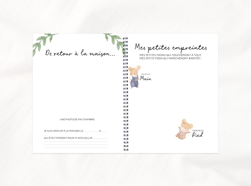 Pregnancy, Baby & Childhood Book - Cute Mice - Rainbows & Lollipops