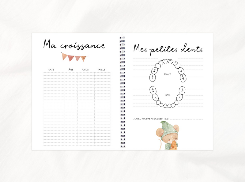 Pregnancy, Baby & Childhood Book - Cute Mice - Rainbows & Lollipops