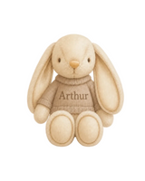 Chandail pour peluche