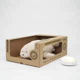 Peluche Sonore en Coton Biologique avec Veilleuse 2.0 - Phoque sable - Moonie