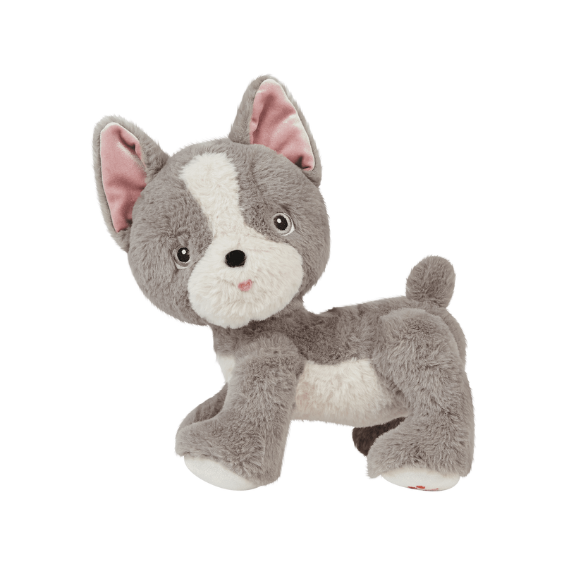 Dinkum Dog - Gizmo - Olli Ella