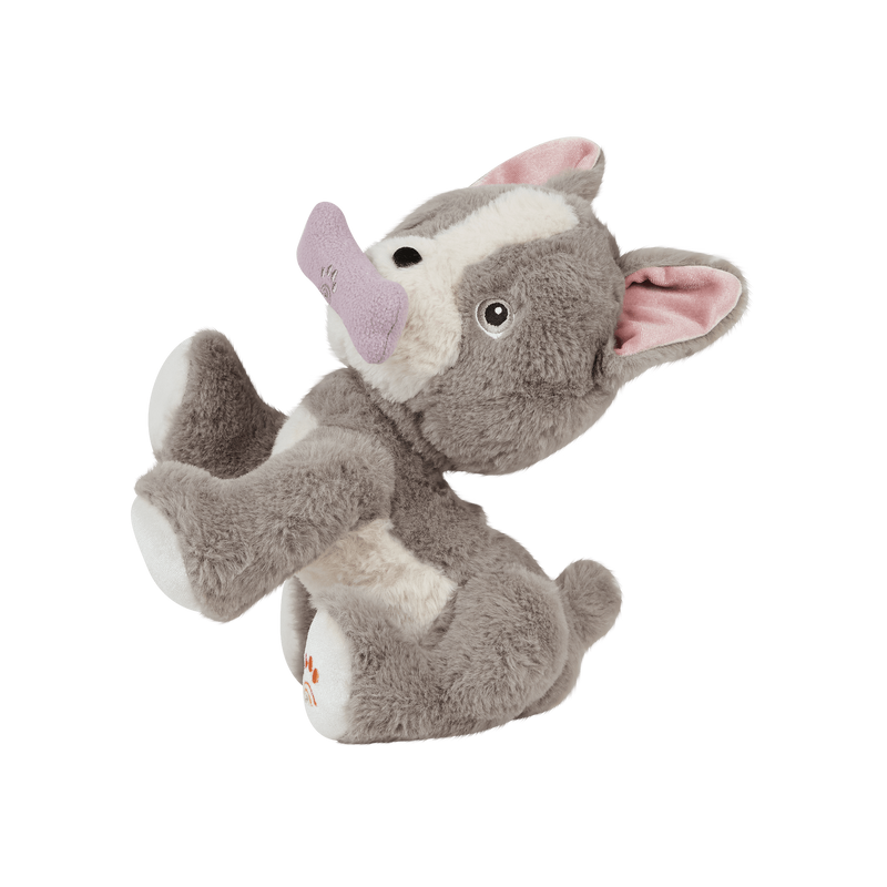 Dinkum Dog - Gizmo - Olli Ella