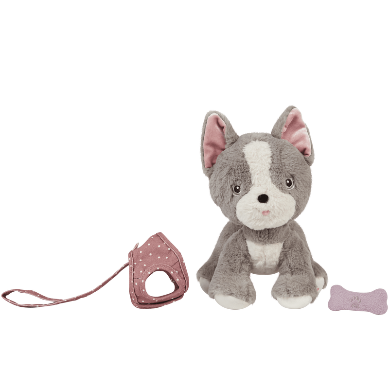 Dinkum Dog - Gizmo - Olli Ella