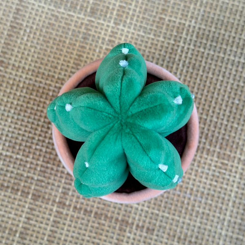 Peluche plante - Cuddly Cactus - Blushiez