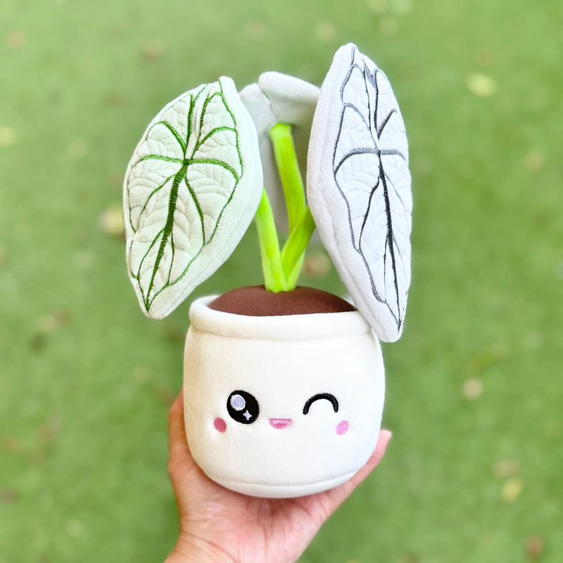 Peluche plante - Silver Dragon Alocasia - Blushiez