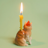 Porte-bougie en porcelaine - Chat Maine Coon - Camp Hollow