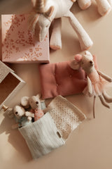Bébés souris jumeaux dans une boîte d'allumette - Maileg