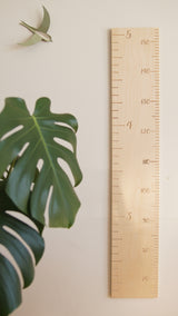 Abricotine ⚜ SQ7644380 Échelle de croissance - Petit format - Abricotine vendu par Veille sur toi