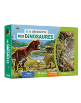 Auzou 9791039525060 Coffret aimanté - À la découverte des dinosaures - Auzou vendu par Veille sur toi