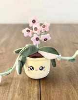 Blushiez BLUSHIEZ-PEL-HoyaCarnosaKrimsonQue Peluche plante - Hoya carnosa 'Krimson Queen' - Blushiez vendu par Veille sur toi