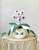 Blushiez BLUSHIEZ-PEL-HoyaCarnosaKrimsonQue Peluche plante - Hoya carnosa 'Krimson Queen' - Blushiez vendu par Veille sur toi