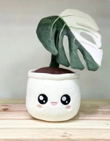 Blushiez BLUSHIEZ-PEL-MonsteraDeliciosaAlboV Peluche plante - Monstera Deliciosa 'Albo Variegata'  - Blushiez vendu par Veille sur toi