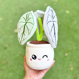 Blushiez BLUSHIEZ-PEL-SilverDragonAlo Peluche plante - Silver Dragon Alocasia - Blushiez vendu par Veille sur toi