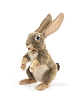 Folkmanis 3200 Marionnette - Jack le lièvre - Folkmanis vendu par Veille sur toi