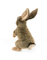 Folkmanis 3200 Marionnette - Jack le lièvre - Folkmanis vendu par Veille sur toi