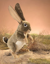 Folkmanis 3200 Marionnette - Jack le lièvre - Folkmanis vendu par Veille sur toi