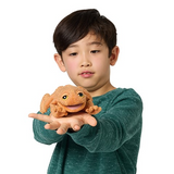 Folkmanis 8021 Marionnette - Mini crapaud - Folkmanis vendu par Veille sur toi