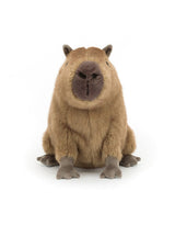 Jellycat CLY6C Peluche - Capybara - Clyde Capybara - Jellycat vendu par Veille sur toi