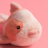 Jellycat KO4C Peluche - Carpe Fancy - Jellycat vendu par Veille sur toi