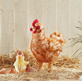 Living Nature AN378 Grande peluche - Poule - Living Nature vendu par Veille sur toi