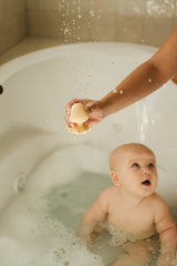 Minika ⚜ JouetsBain-BaleineIndigo-PieuvreGlace Jouets de bain - Baleine indigo et pieuvre glace - Minika vendu par Veille sur toi