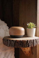 Morphée Morphée pour adulte - Morphée vendu par Veille sur toi