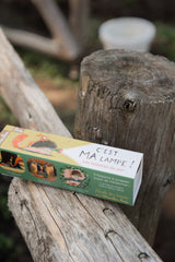 Moulin Roty 894380 Lampe à histoire - Écureuil - C'est ma lampe! - École des loisirs - Moulin Roty vendu par Veille sur toi